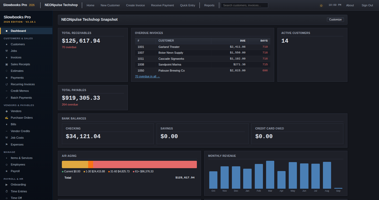 The same Company Snapshot in the dark theme, with the same figures, colour key and charts.